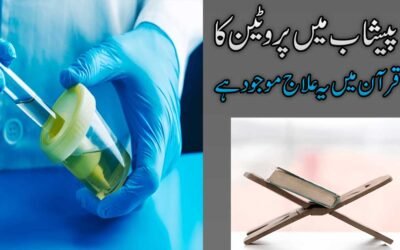 Protein In Urine (Proteinuria) Symptoms