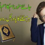 Munawar Name Meaning And Detail